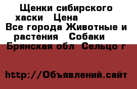 Щенки сибирского хаски › Цена ­ 12 000 - Все города Животные и растения » Собаки   . Брянская обл.,Сельцо г.